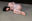 東京ボンデージ写真集【レインコートの生贄 まさきねね】