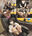 【天】真面目な生〇会快楽モンスターが欲望大暴走で自我崩壊!極限まで快楽を貪り発狂白目失神崩壊で活動停止!精子着床!30倍映像(1)