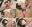 【天】真面目な生徒会快楽モンスターが欲望大暴走で自我崩壊！極限まで快楽を貪り発狂白目失神崩壊で活動停止！精子着床！30倍映像（2）