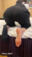 K子 43歳 事務員 vol.30