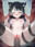 4P配信2アニメ　動画データ