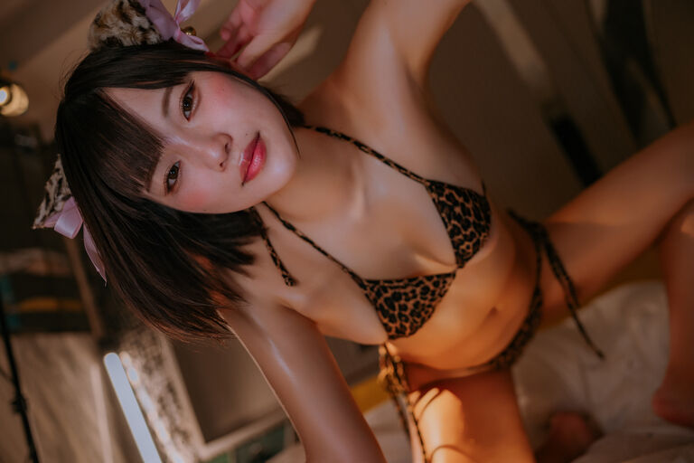 豹猫