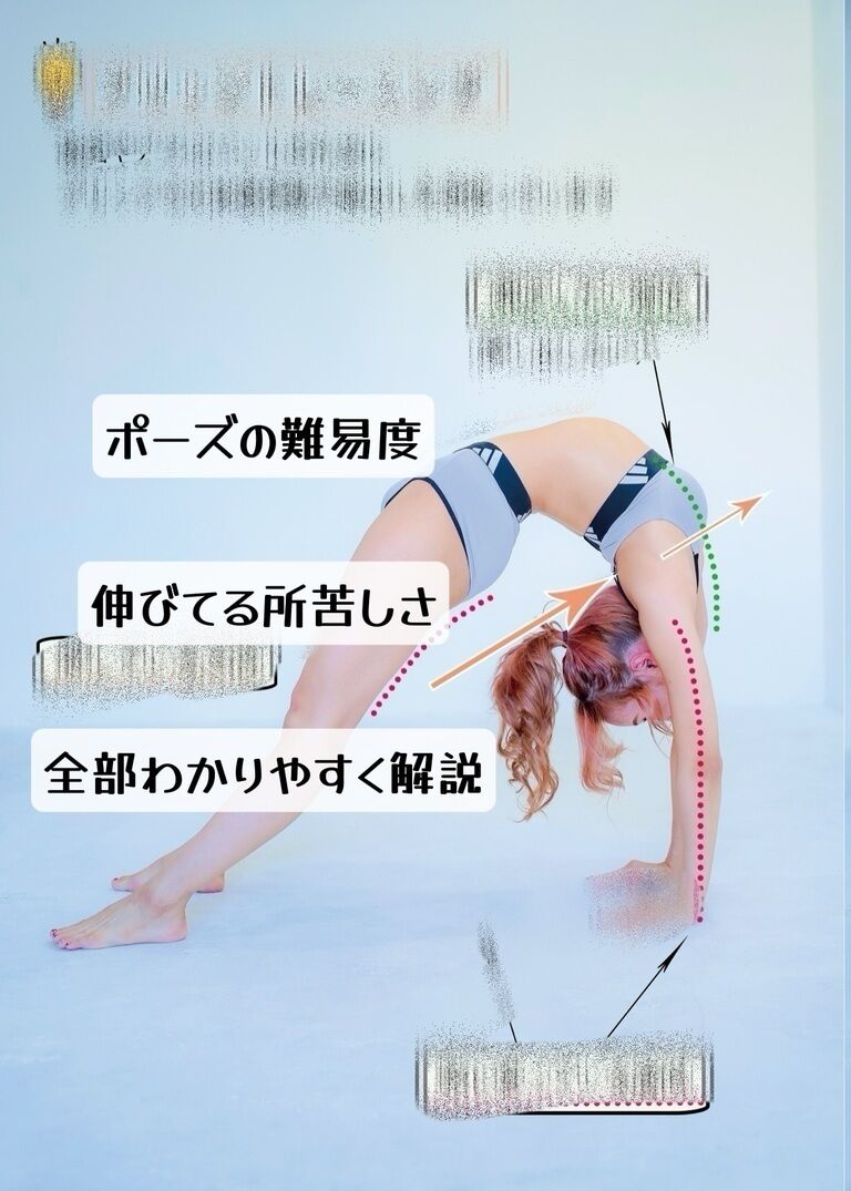 【写真集】ひなのからだ図鑑2025【112ページ】