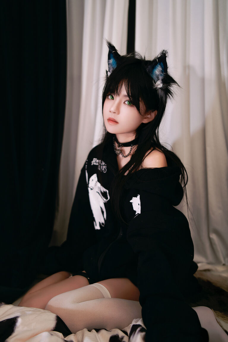 缅因猫猫 a