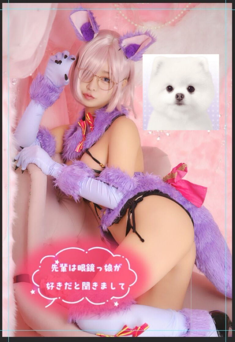 マシュ DL写真集 パッケージ版