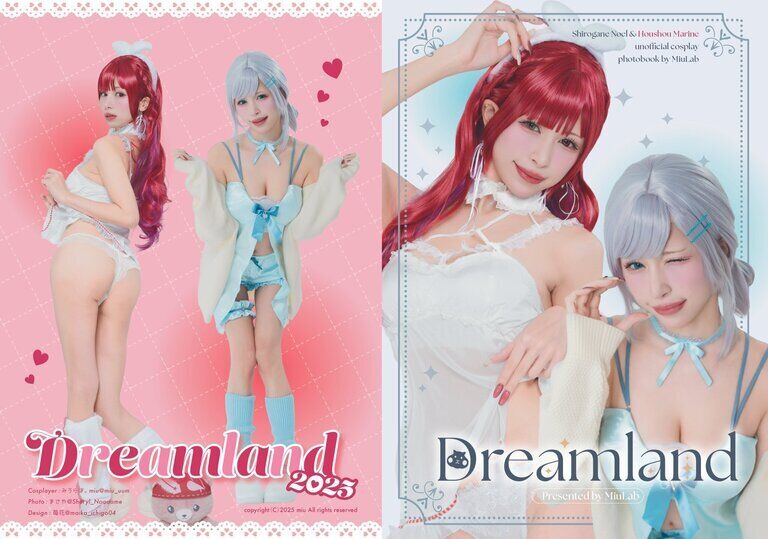 C107新刊単品『Dreamland』