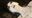 White Painted Doll 01 REMIX