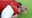 【△100】Yuri is inserted by the football team guy at the stadium (missionary position)