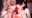【21～23日お祭り限定パック】トキ×リオ、さめ×さば他