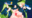【21～23日お祭り限定パック】トキ×リオ、さめ×さば他