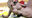 【△100】Yuri is inserted by the football team guy at the stadium (sideways and tits exposed)