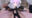 ♡えちえちシスター♡懺悔搾精♡