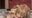 アニスレイヤー様の顔舐め唾液地獄