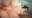 YAOMOMO