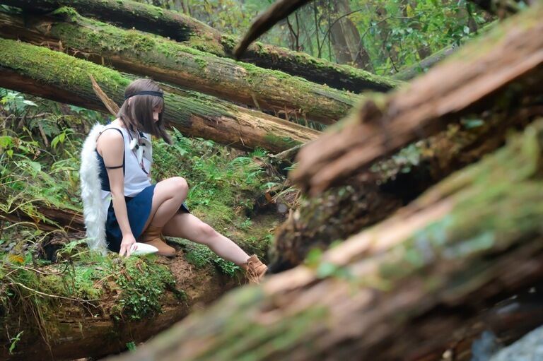 もののけ写真集