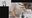 ゆらがわもふぃさんが2回目のエッチ生配信で生中だしされる動画 ymofy-20260327【見放題の方無料】