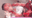 🌸スマホOK🌸桜咲く❣み●ちのピストンマシーン大量潮吹きオナニー❣❣