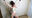 【完全素人初体験くすぐり】これはS級美女っ!! くすぐりは超苦手!! ついに覚悟を決めての初体験 ※本編顔出し
