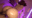 🌟ホ●ライブ🔞宝●マリン[水着](ヌルテカオイルSEX)🌟マ○ン船長がチンポに完全敗北！ドスの効いた声でイキ狂う膣ボコ！濃厚精子を一滴残らず全部ゴックン！Jカップ神乳レイヤーみるあもちゃん19歳【buena325】