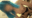🌟ドラゴソボウル🔞ブ●マ(ヌルテカオイルSEX)🌟170cmの高身長美脚スレンダー美少女！強烈なマシンガンピストンでイキ狂い！ナマ中出し2発射！孕まセックス！あしながおねえさん🦵ミカ👠（22歳）【buena327】