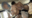 🌟Reゼ●から始める異●界生活🔞レ●りん🌟爆乳パイズリで暴発中出し射精!ペニスで奥をゴツゴツ突かれ子宮イキ!イキ過ぎて絶頂を繰り返す異常感度!国宝級の美爆乳!はなばすてぃーちゃん(20歳)【buena320】