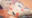 周防パ●ラ(Vtuber)のエロ動画
