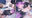 🦋💜【甘出し/キスイキ/生ハメ/連続搾精&空イキ絶頂】『 私以外の女でヌいたら…XXすから❤️ 』ライバル校のキス魔アイドルにオナバレ♡ ベロチューと乳首だけでイけるようになるまで密着甘サド責めされ、二度と彼女以外でイケないように躾けられる♡【M向け女性優位動画💜】
