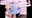 ★THE DRESS PREY★vol,84