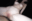 【童貞くんSEX】お顔におしっこ＆潮吹き9連発🐳 飲めたら生で入れていいよ💝【No.184】