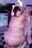 PINK LAG GIRL