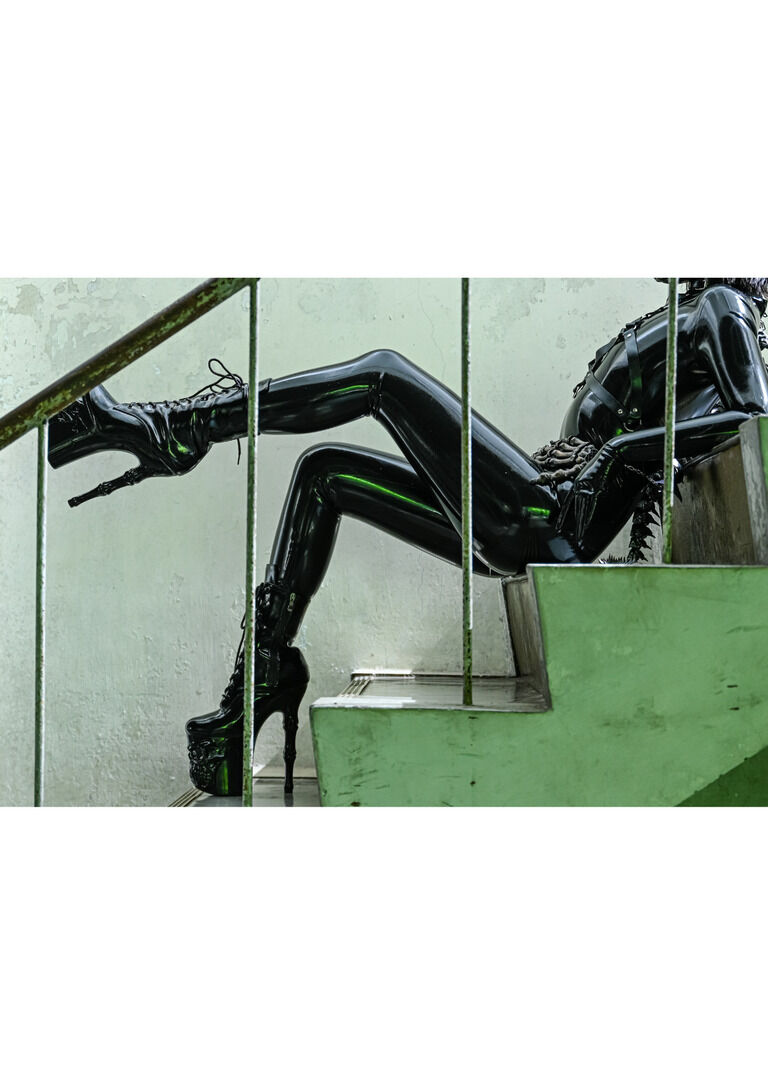 [本]VESTIGE