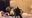 タトゥー痴女コウさんとコラボ!男の娘がアヘアヘするまで搾り取るドスケベ痴女セックス