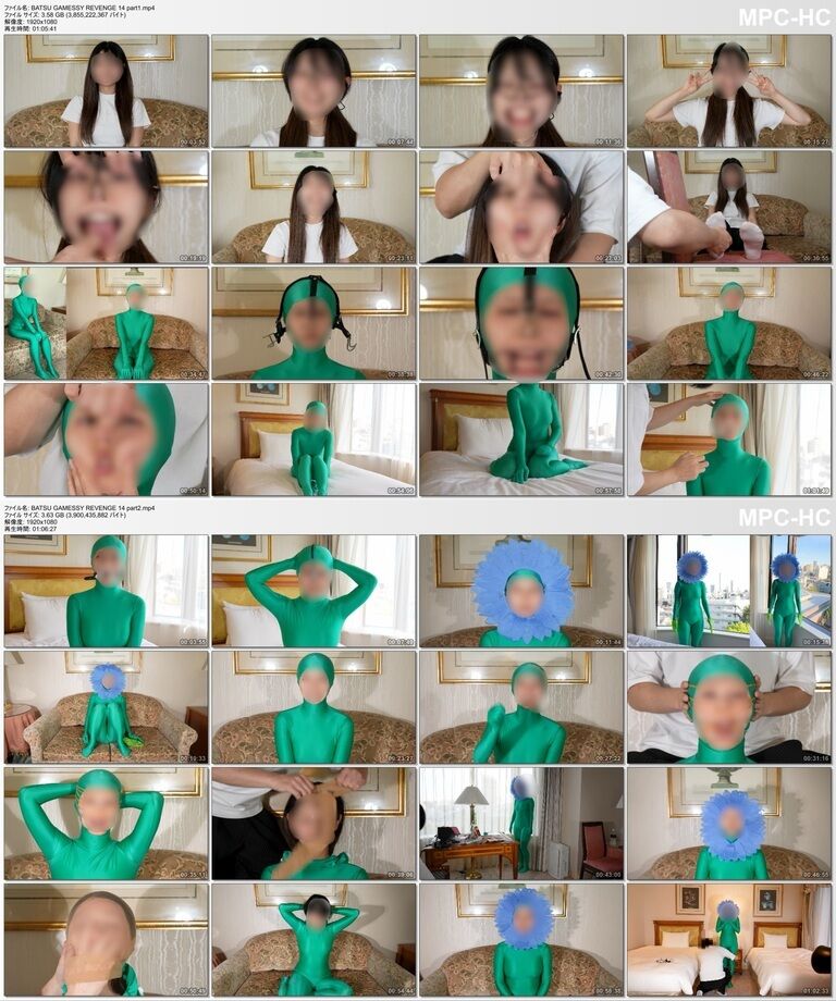 BATSU GAMESSY REVENGE 14