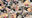 ※8月31日まで限定特典動画付き※快感増強サプリを溶かした液体を膣に直接噴射したら壊れてしまいました。オホイキしながら絶頂しまくる肉便器です。【快感増強溶液直接噴射】