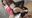ひめりんごによる AV女優ぐりぐら化⑧ 甘井くるみ Content2【ひめりんごによるコスプレ着衣越しくすぐり】