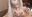 ウェディングドレス姿のねんねが旦那さまのおち〇ちんにご奉仕しちゃう🥹 これから毎晩えっちなことしようね🥹💕