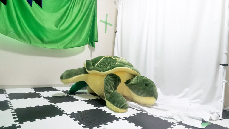 身長110cmの小さな『カメ』に変身する方法