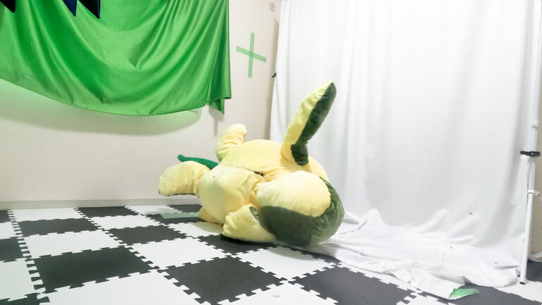 身長110cmの小さな『カメ』に変身する方法