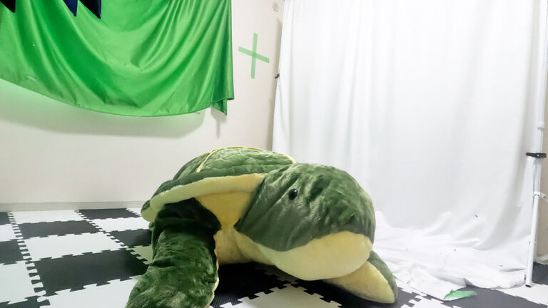 身長110cmの小さな『カメ』に変身する方法