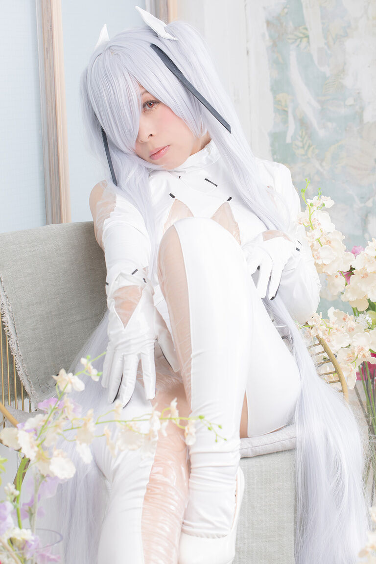 CINDERELLA GRAY