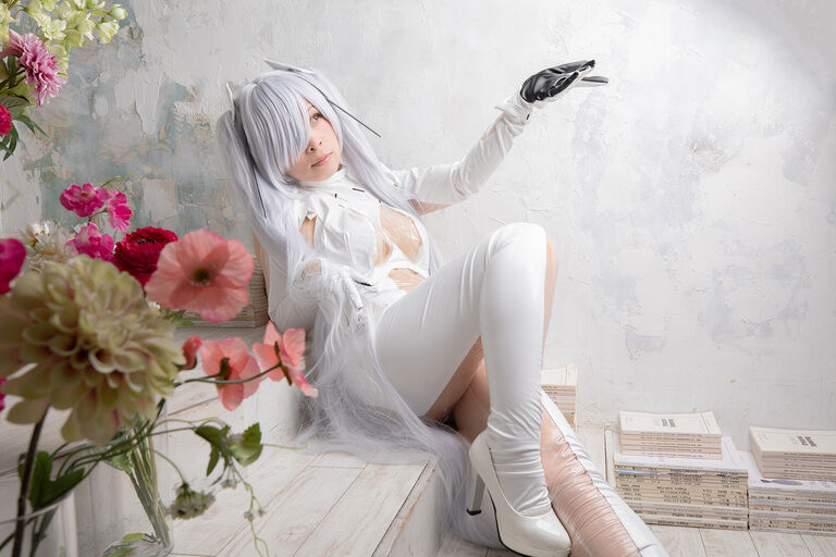 CINDERELLA GRAY