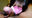 【🆕新作】お父さんごめんなさい…おじさんに爆乳を晒されて生で奥まで挿れられて中出し…垂れ出た精子をマ●コに戻されて受精確定、結局妊娠してしまいました…【個人撮影】