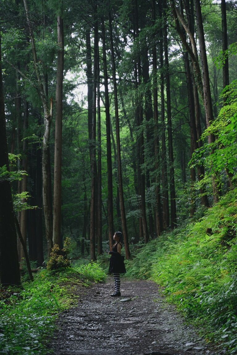 役目を終えた人間標本。/写真集