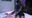Session 95. -連続潮吹きと終わりなき亀頭責め- Unending Cumshots and Relentless Glans Torment (S-F201)