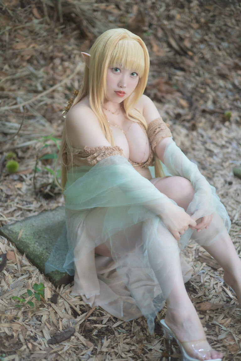 【C108】sylvan elf ダウンロード写真版