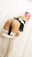 Re:エロから始めるオナニー性活
