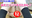【裏LIVE２万DL記念｜9/12(土)裏LIVE付き】大学生はるちゃんと初レズF◯2ライブ♡ 途中からスイッチ入っちゃって本気モードに…