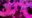 【48時間限定1000円off】3人のVtuberを拾ったので【自由に使ってください】