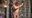 WAM Whip Shaving　3 Cameras
