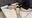 【神田リア】うつ伏せで苦手な部分をこちょこちょ